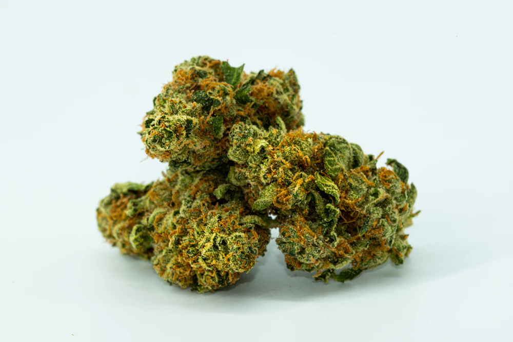 Giggin' Grapes #7