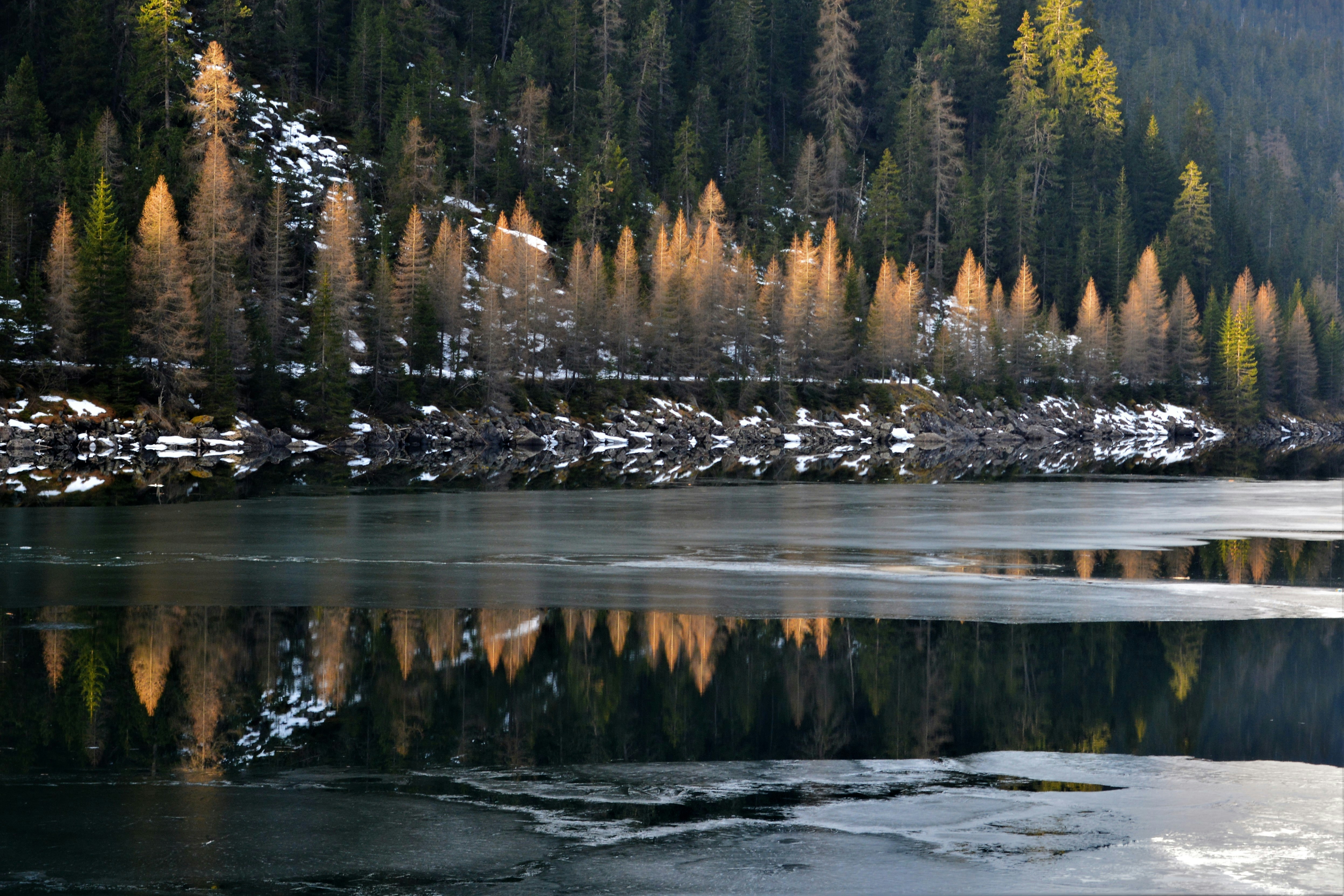 Photo by pedrino5_official