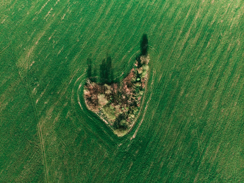 aerial view of island surrounded by water