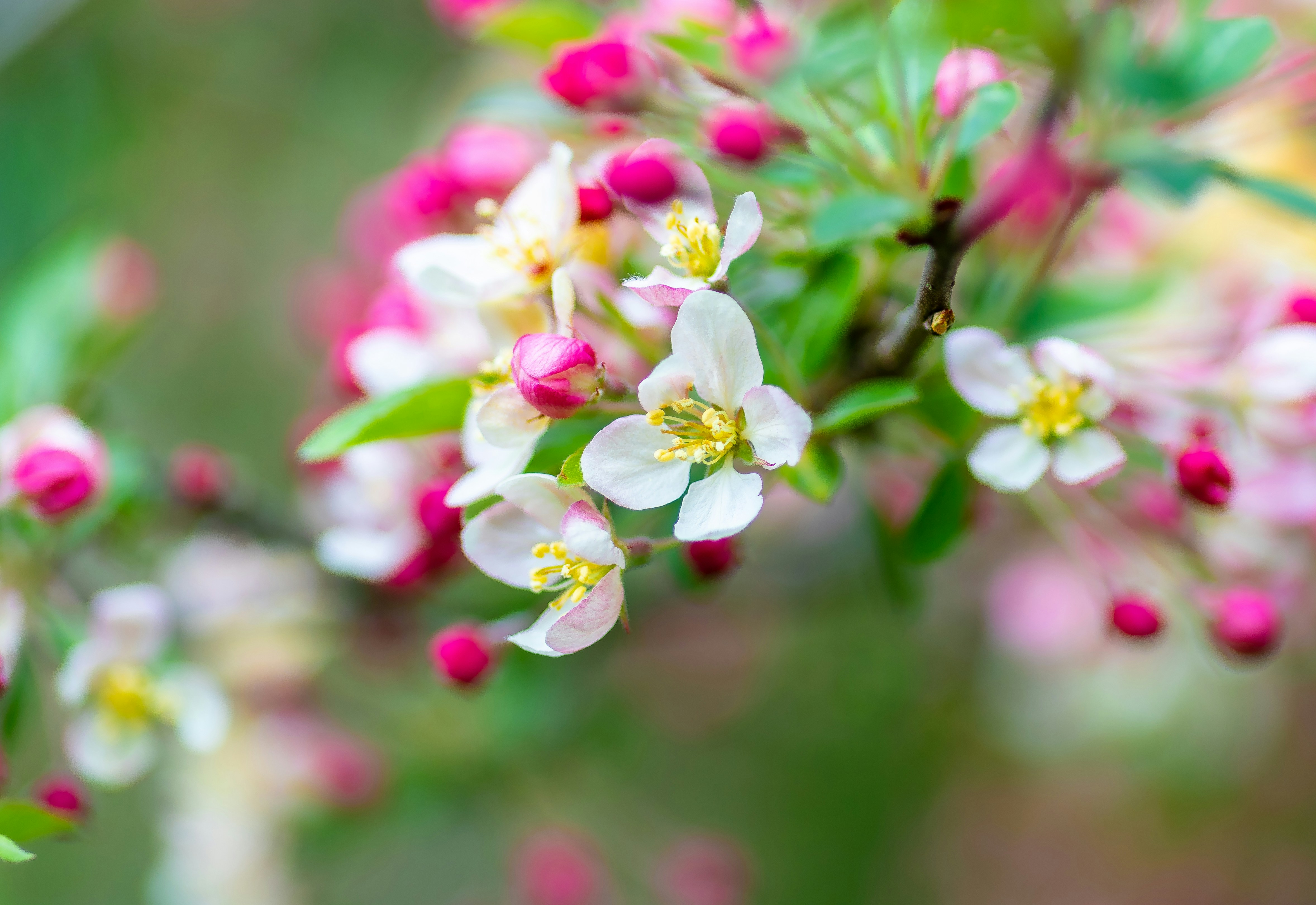 Photo by jacobfarrar