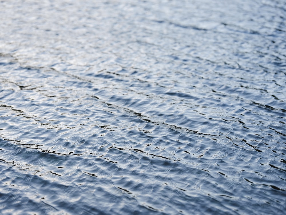 brown sand with water during daytime