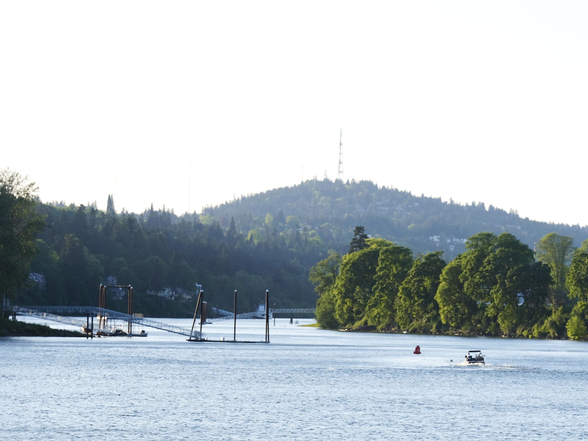 white boats on sea near green trees during daytime