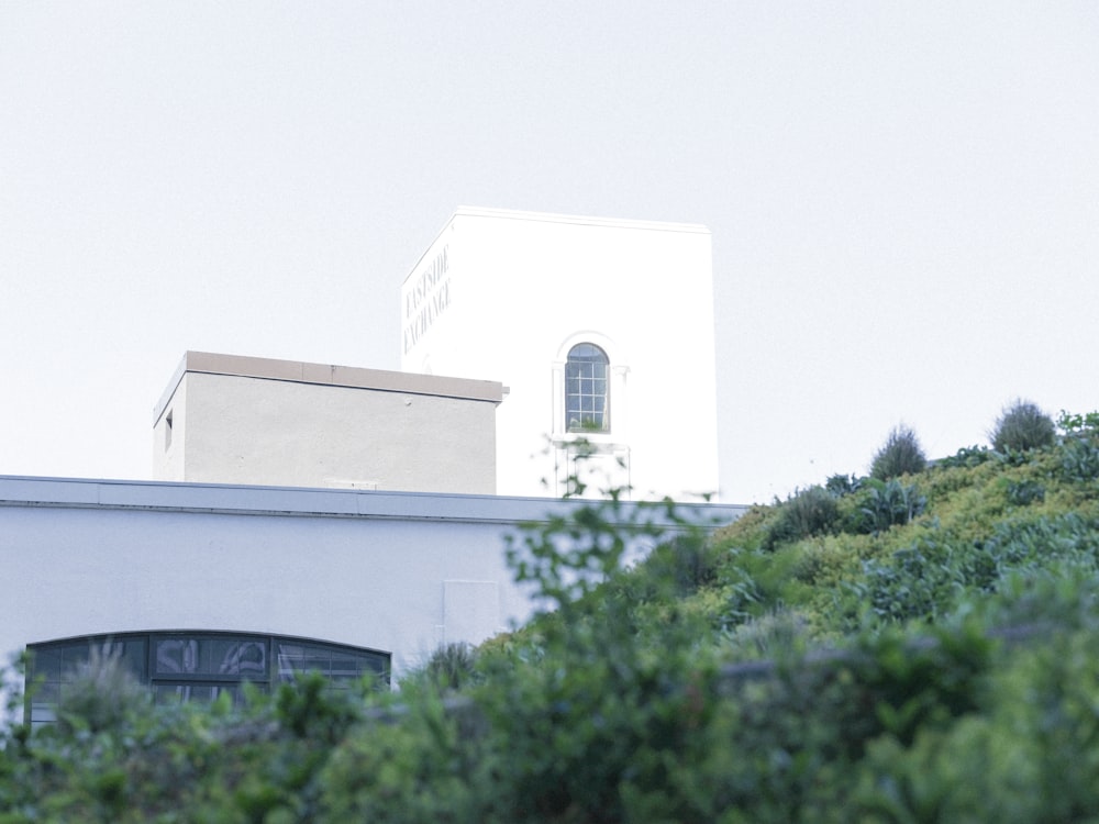edificio in cemento bianco vicino agli alberi verdi durante il giorno
