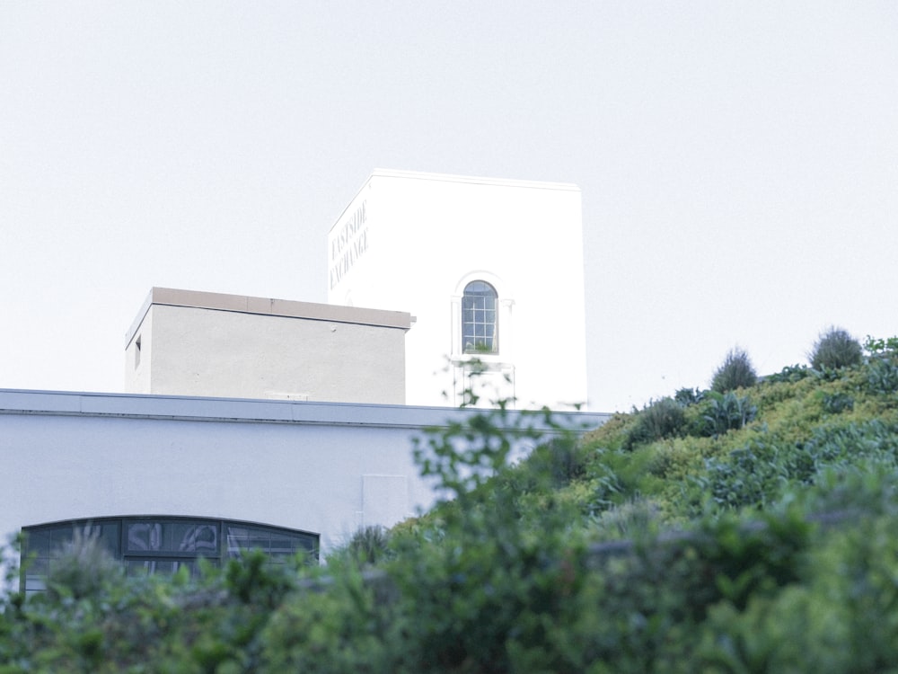 Bâtiment en béton blanc près d’arbres verts pendant la journée