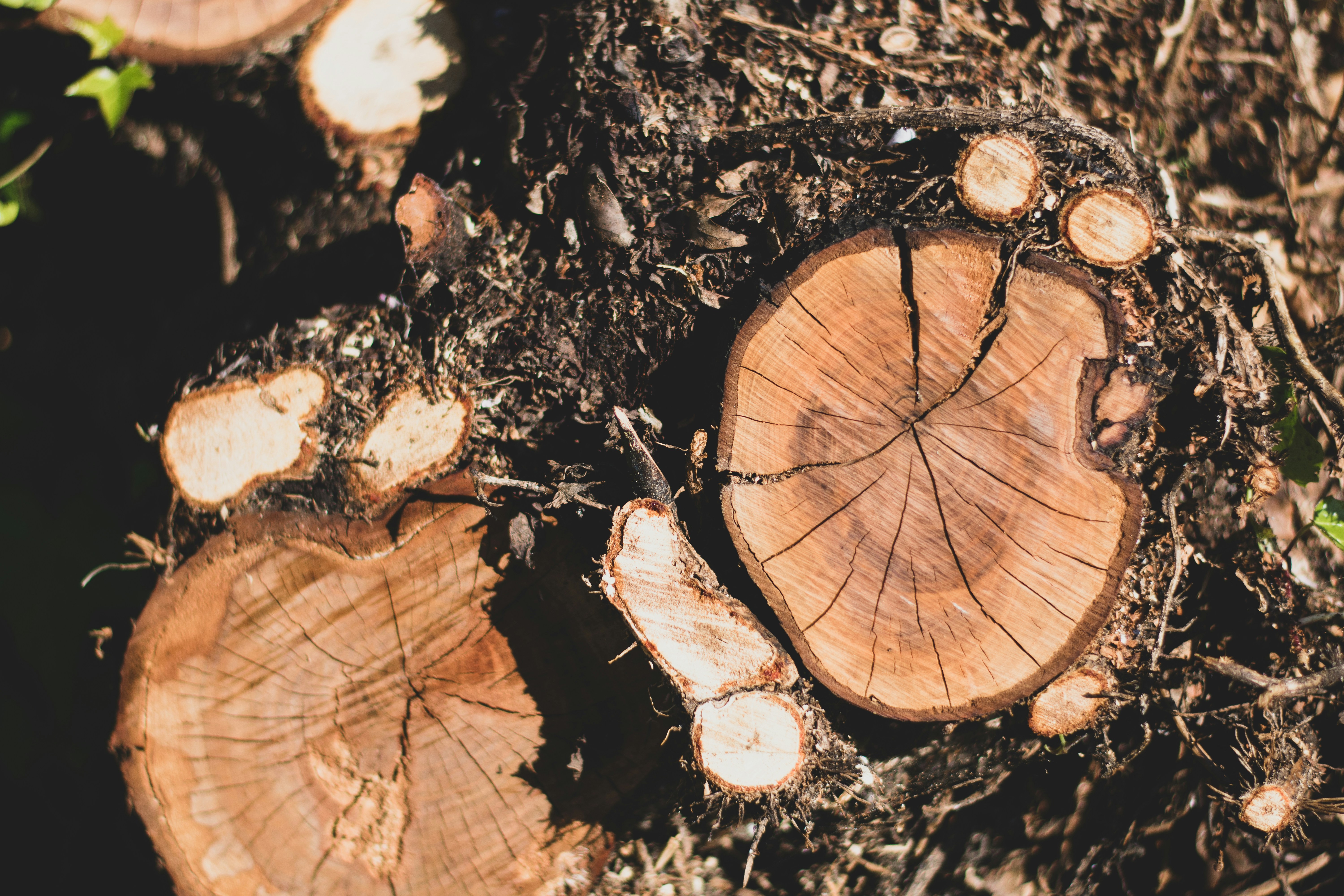 Photo by tugcegungormezler