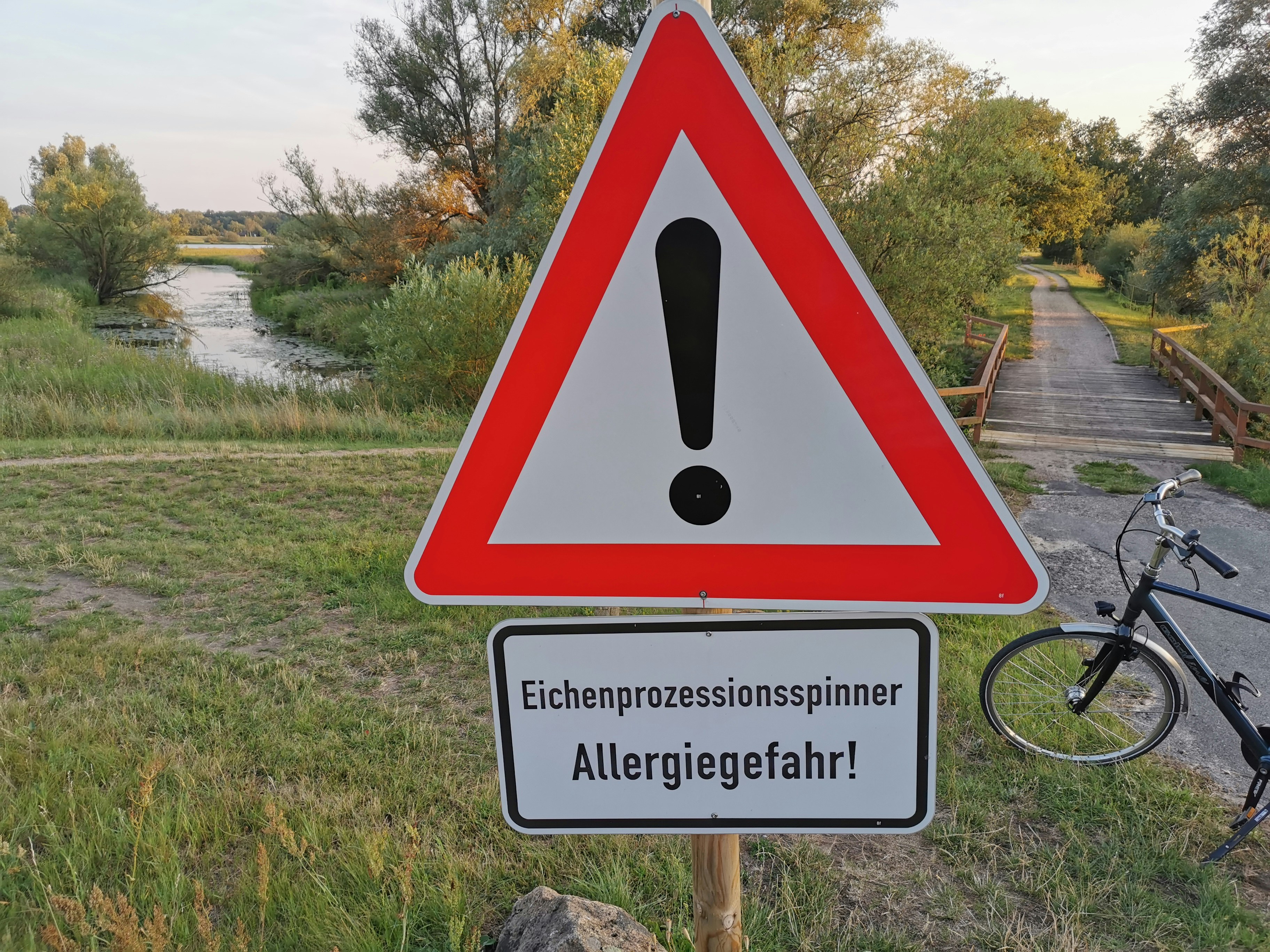 개인 알레르기 정보를 관리하고 경고하는 AI