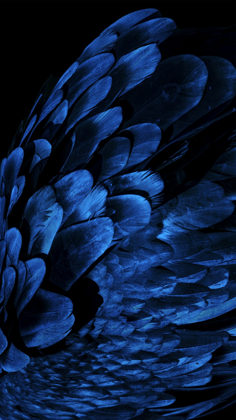 peinture abstraite bleue et noire
