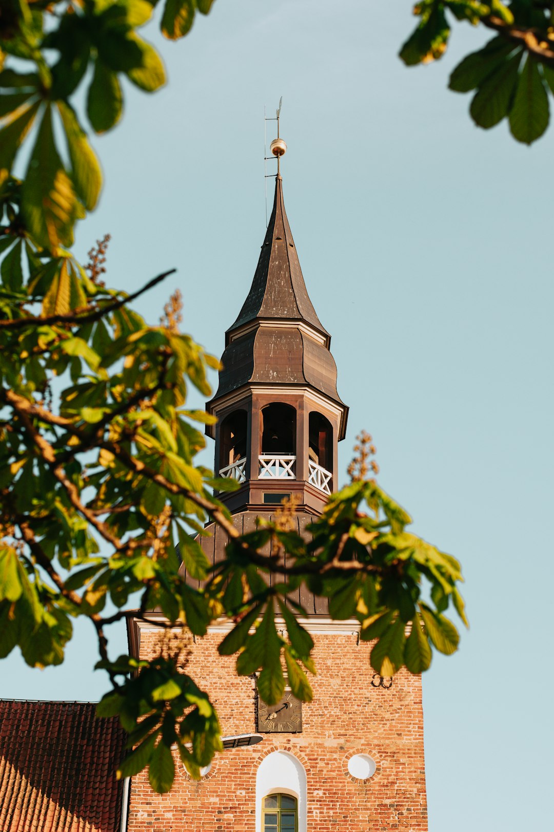 brown concrete building with green leaves during daytime