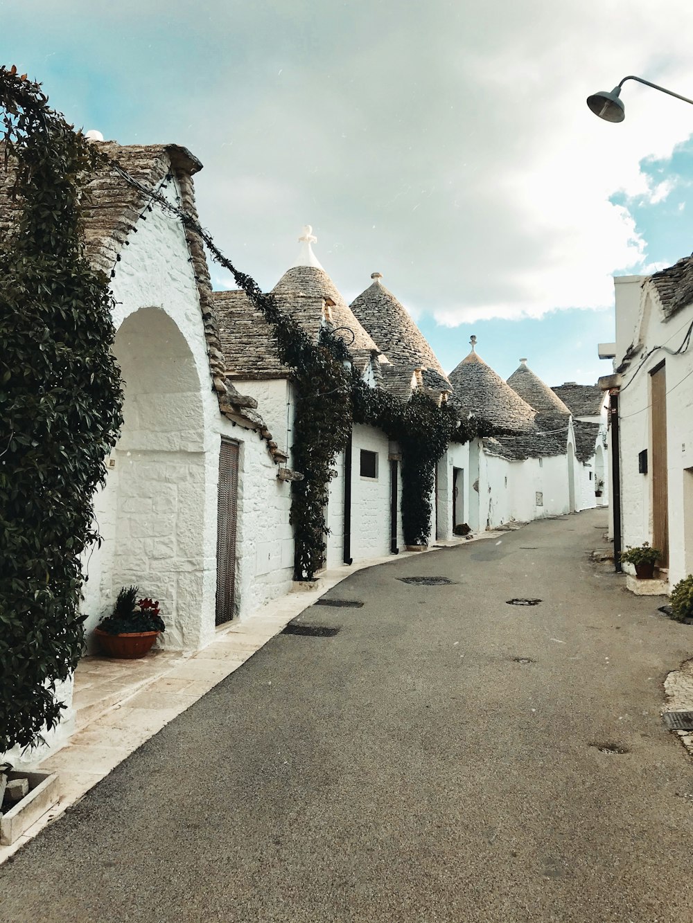 Sabores de Basilicata y Puglia — imagen 1