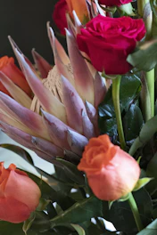 A modern bouquet featuring bold, exotic flowers with striking shapes and vibrant colors.