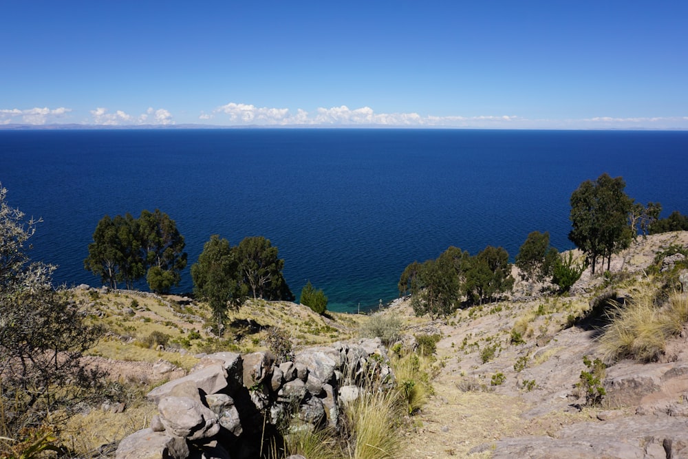 alberi verdi sulla costa rocciosa durante il giorno