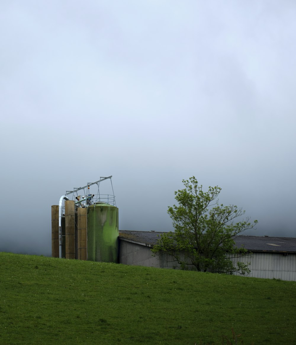 Grünes Grasfeld in der Nähe von grünen Bäumen unter weißem Himmel tagsüber