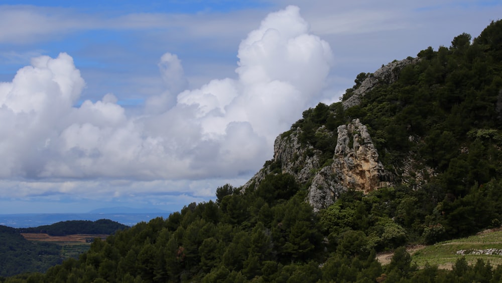 green trees under white clouds and blue sky during daytime