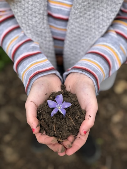 nurturing hands supporting nature to thrive