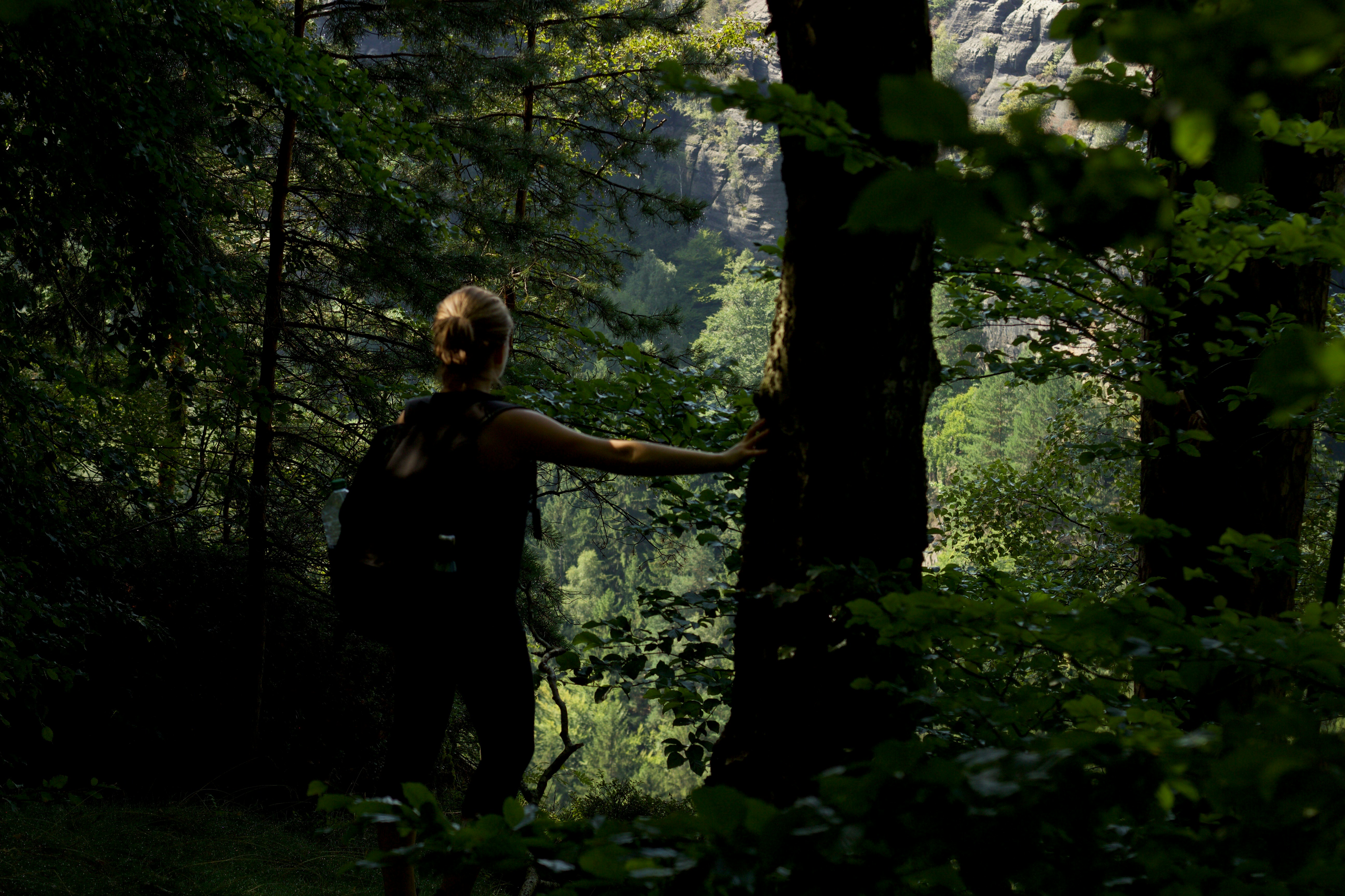 A solo hike on the border of the Czech Republic and Germany