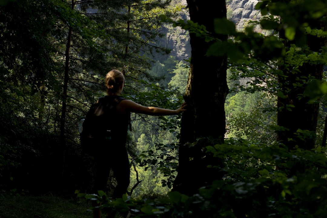 travelers stories about Forest in Saxon Switzerland National Park, Germany