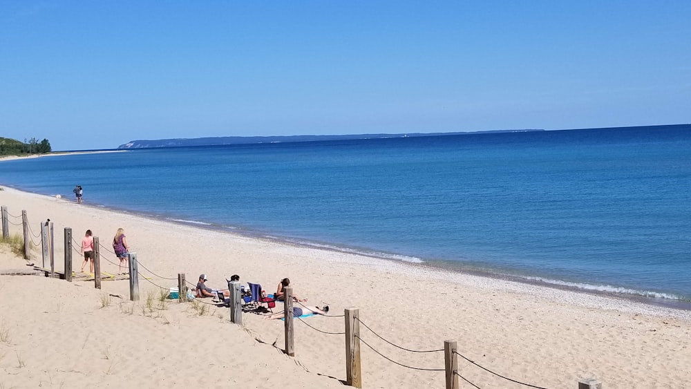 people on beach during daytime