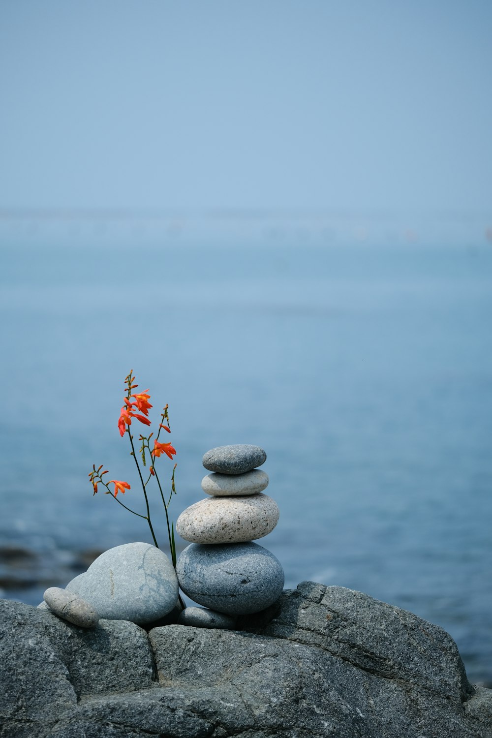 gray and white stone near body of water during daytime