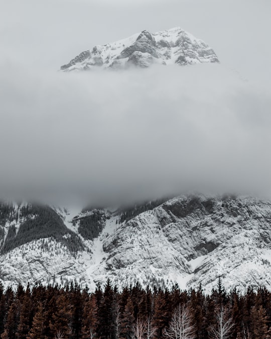 snow covered mountain during daytime in Kananaskis Canada