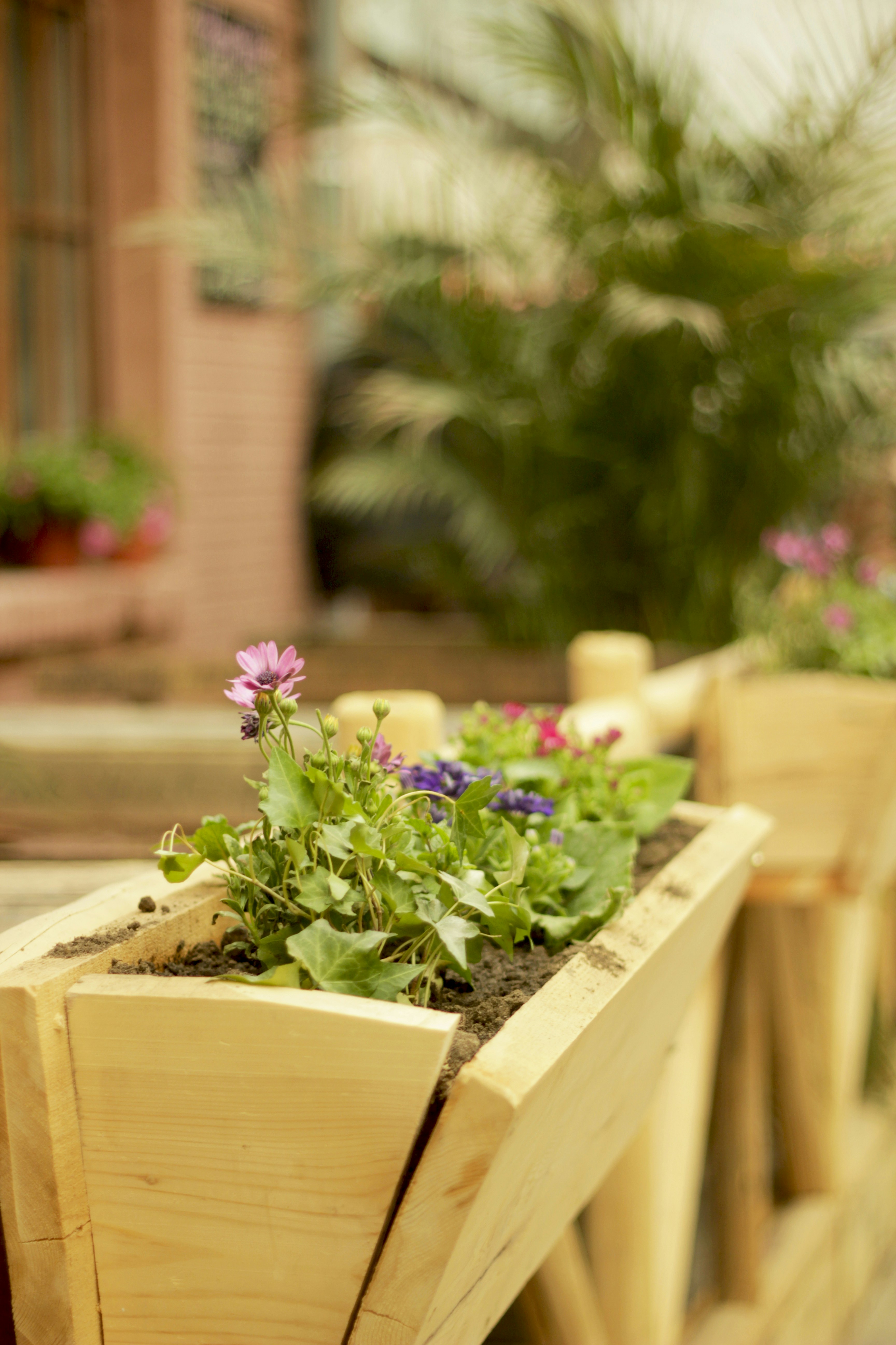 Rustic Wooden Planter