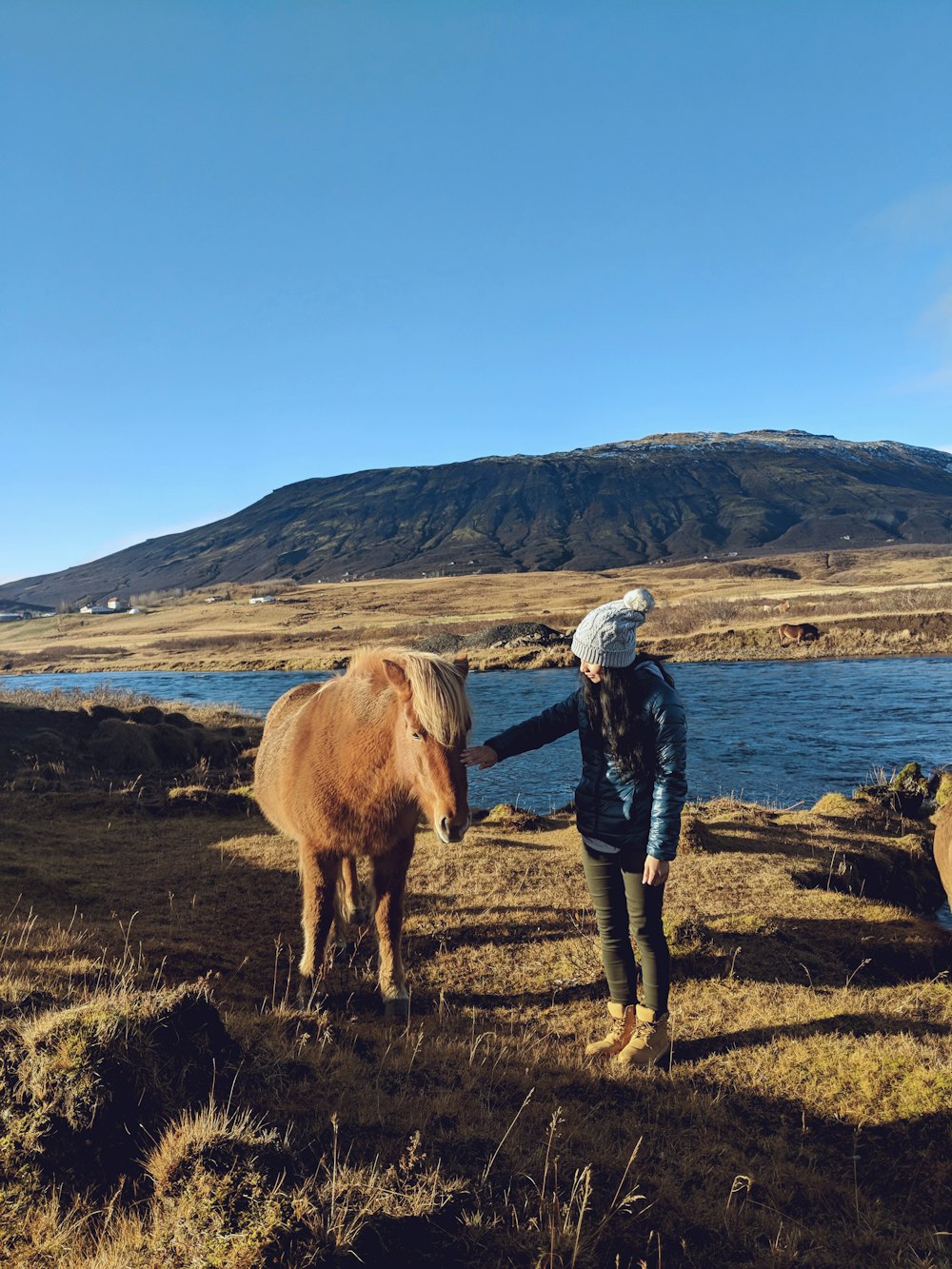 uomo in jeans blu denim in piedi accanto a mucca marrone sul campo di erba verde durante il giorno