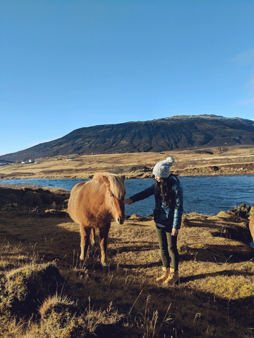 man in blue denim jeans standing beside brown cow on green grass field during daytime