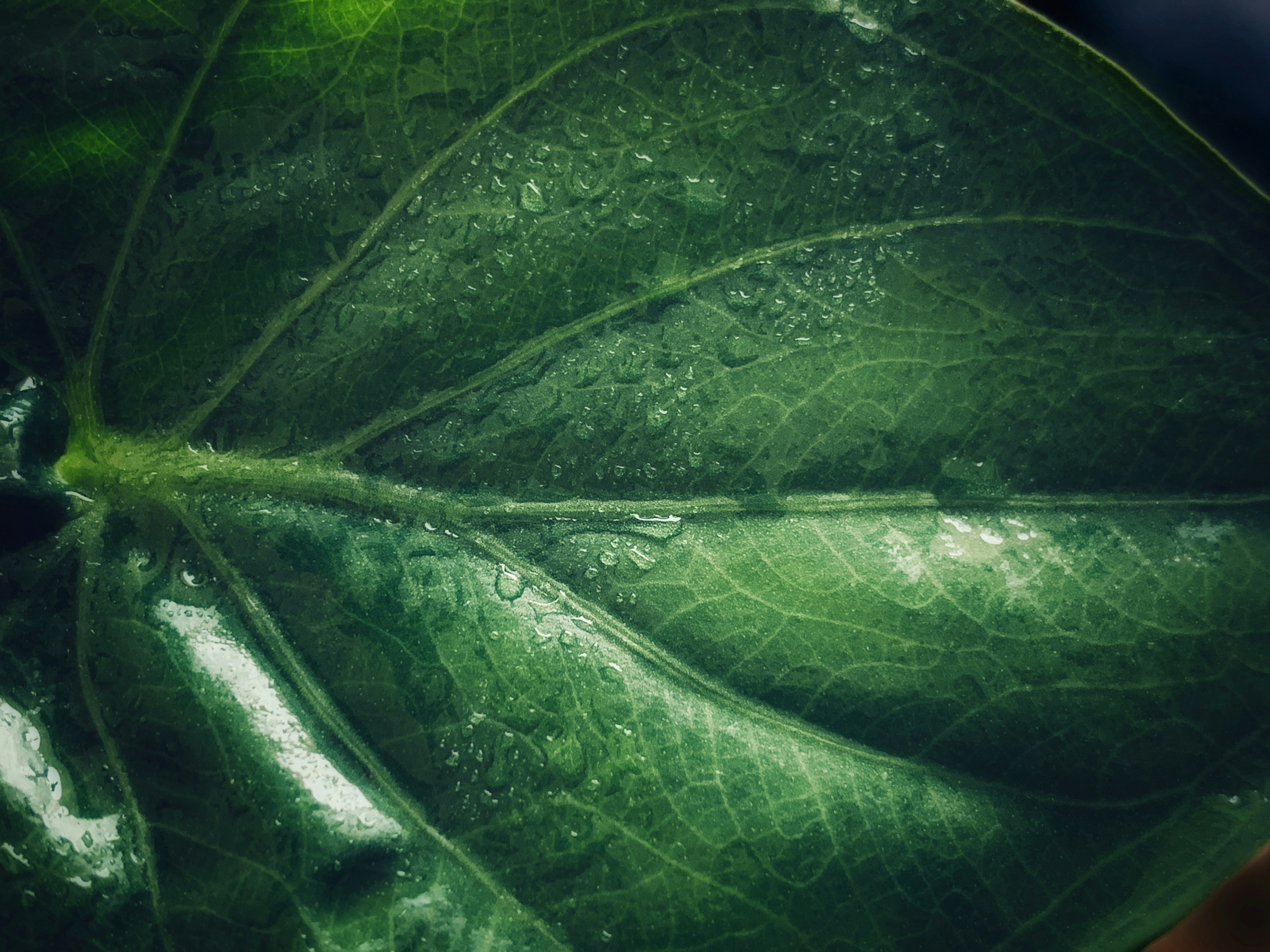 Photo by arham_jain48