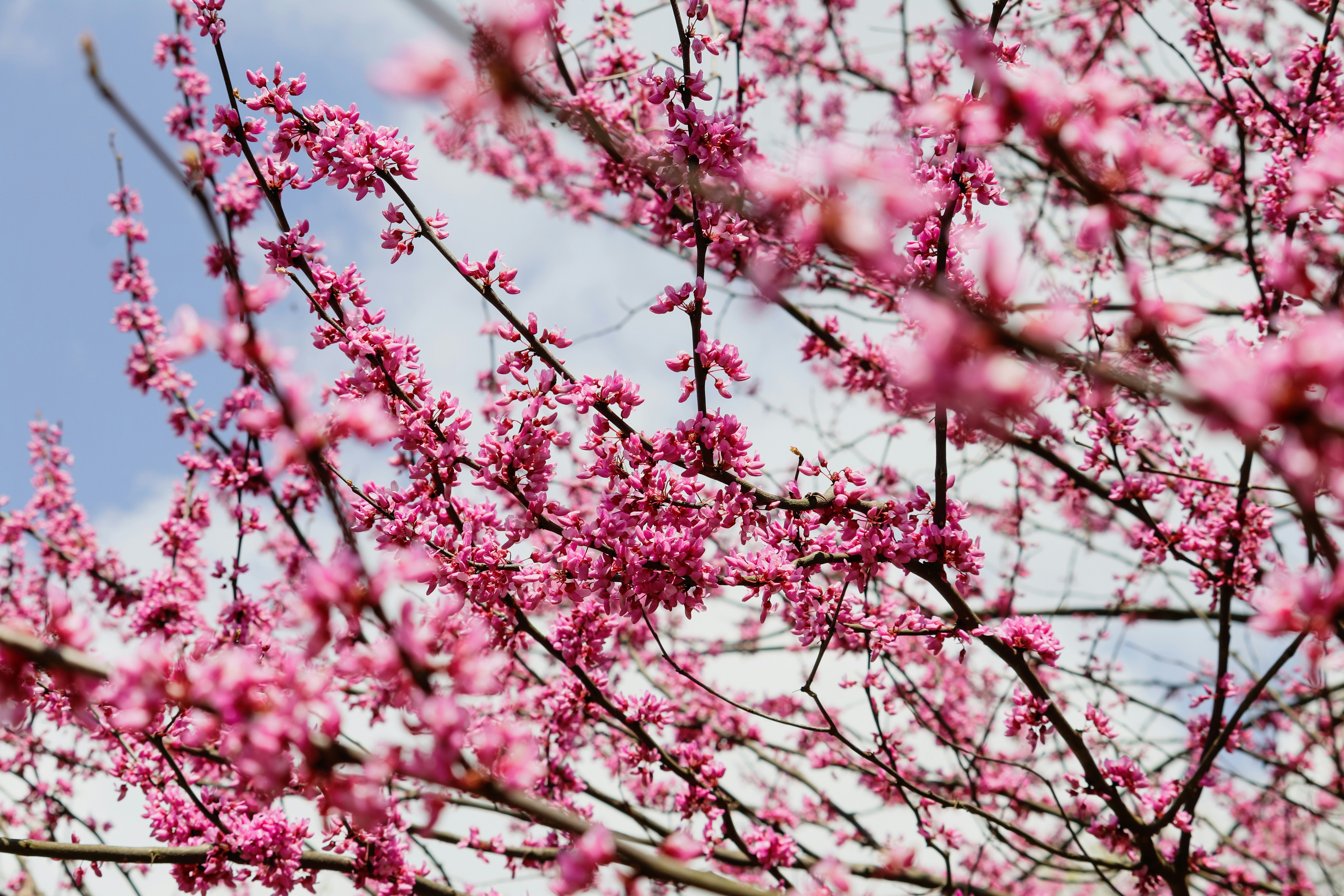 Photo by themahoganyway