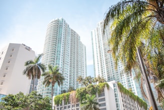 green palm trees near white high rise buildings during daytime