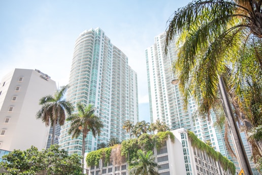 green palm trees near white high rise buildings during daytime