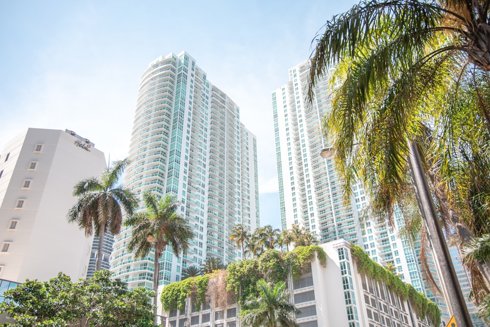 green palm trees near white high rise buildings during daytime