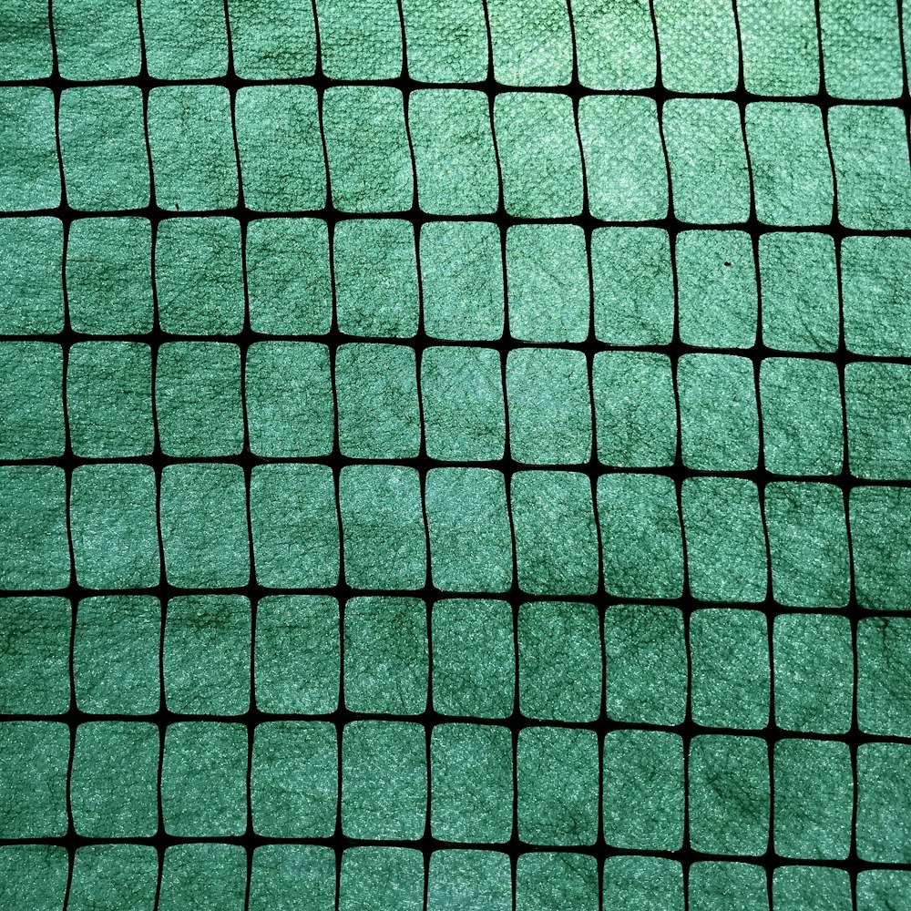 green metal fence during daytime