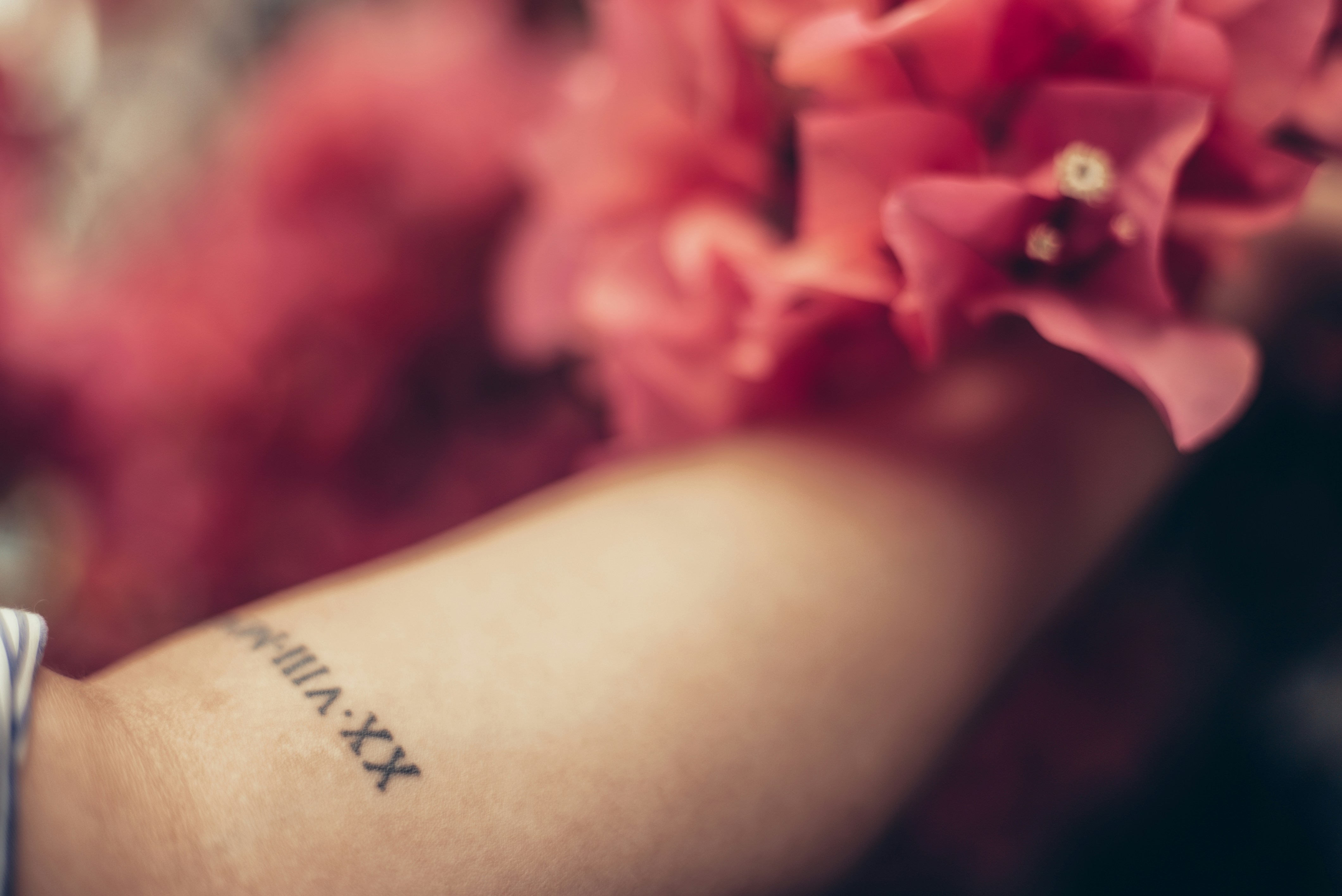 Photo by orlandodominguezfotografia