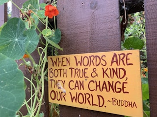 A wooden fence with vibrant green leaves and orange flowers growing around it. A yellow sign with brown text says, 'When words are both true & kind, they can change our world.' attributed to Buddha.