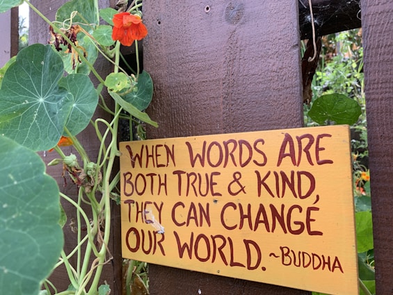 A wooden fence with vibrant green leaves and orange flowers growing around it. A yellow sign with brown text says, 'When words are both true & kind, they can change our world.' attributed to Buddha.