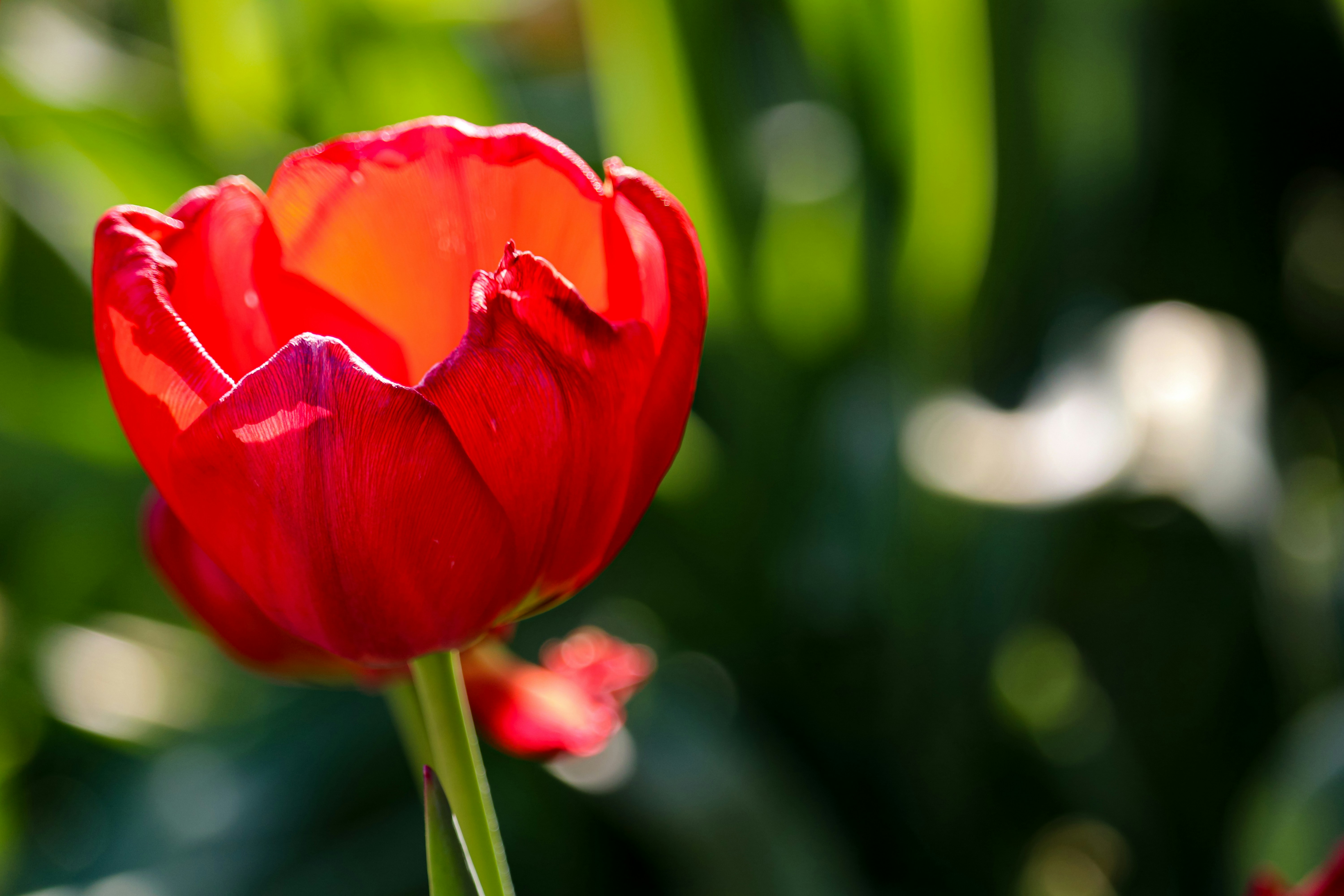 Photo by themahoganyway