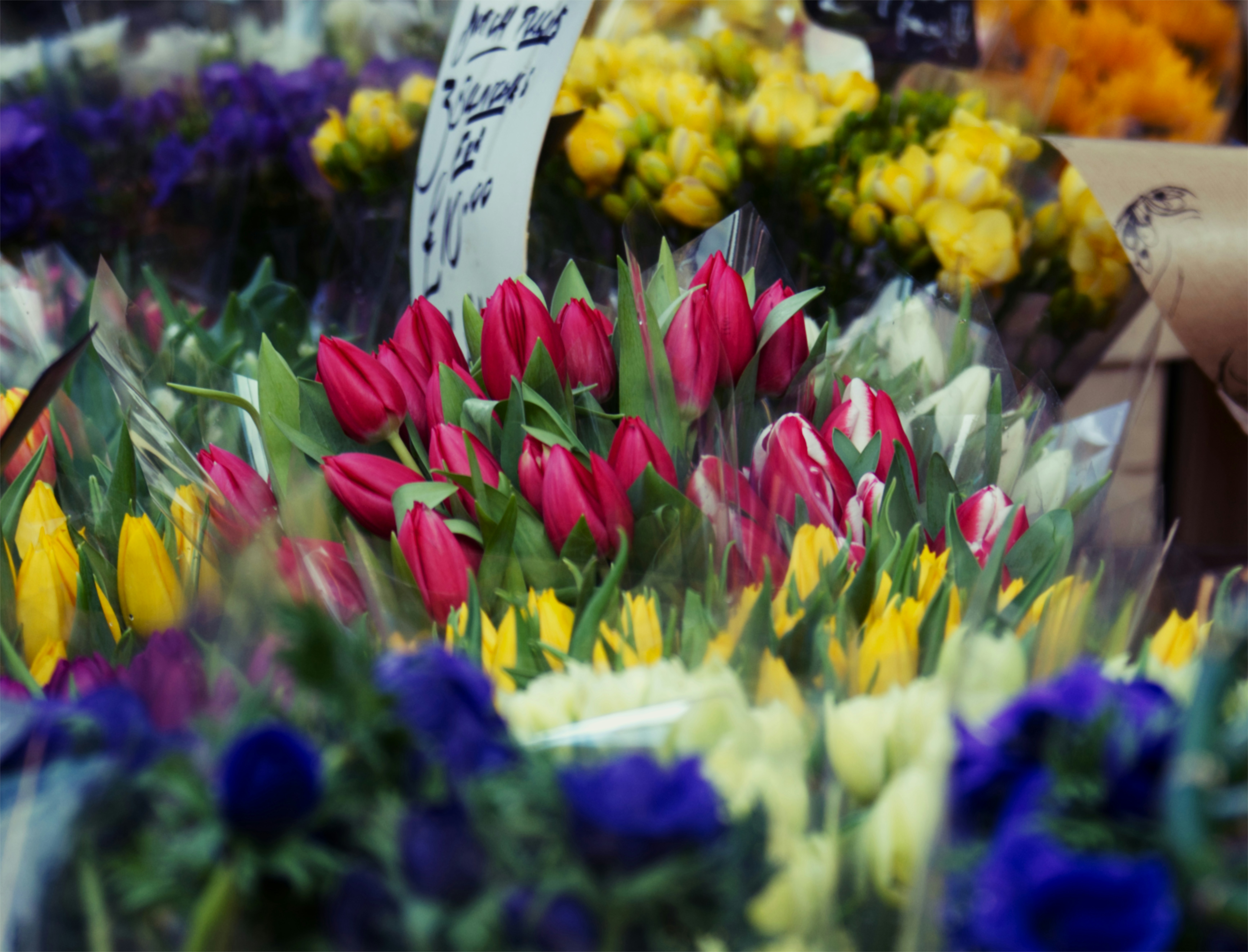 Image by John Dancy via Unsplash