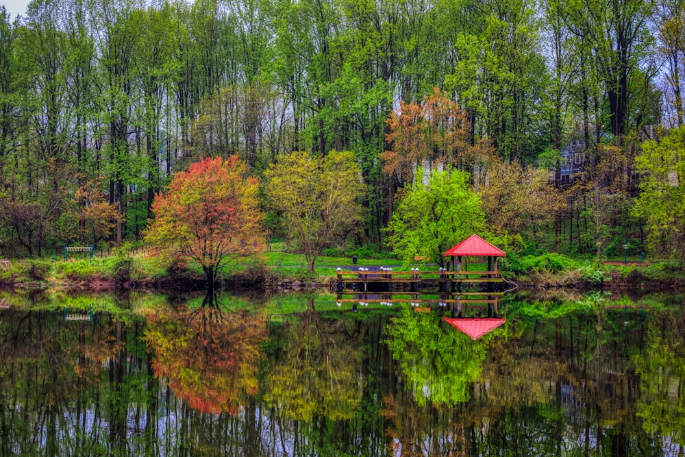昼間は緑の木々の近くの湖畔の茶色の木造住宅