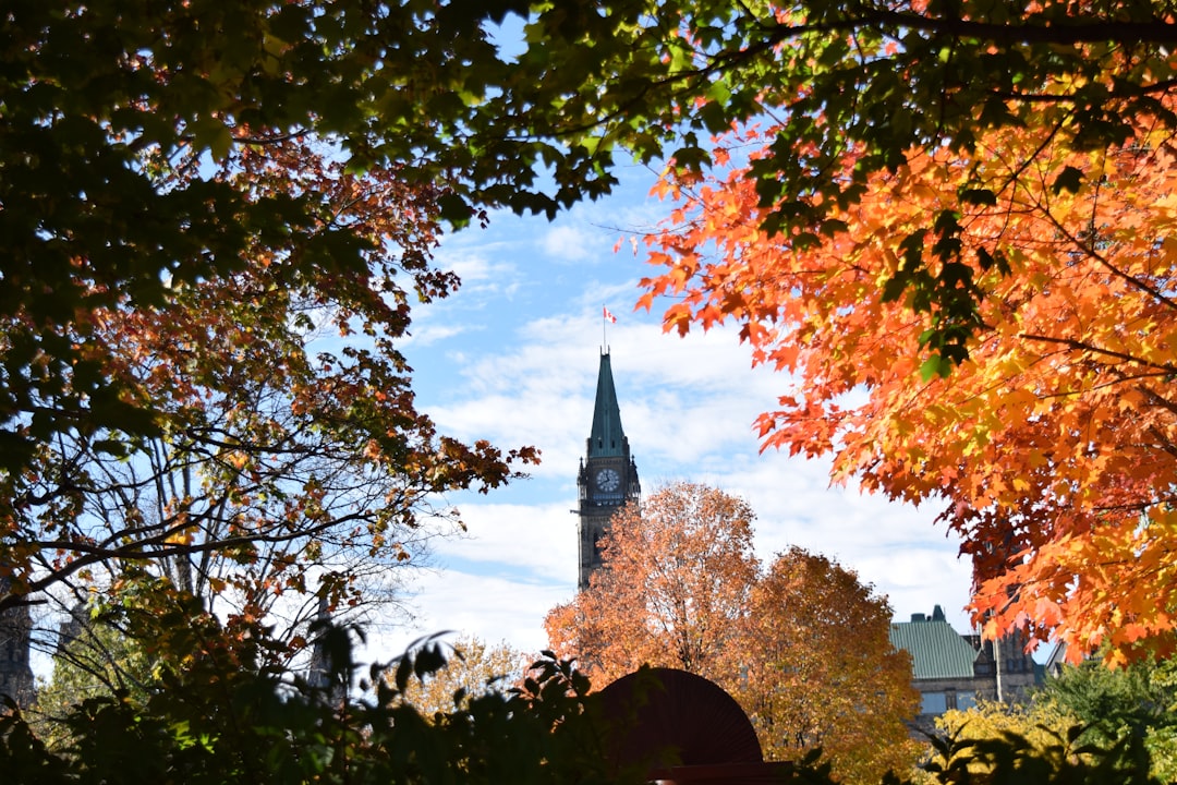 Landmark photo spot Ottawa Notre-Dame Cathedral Basilica