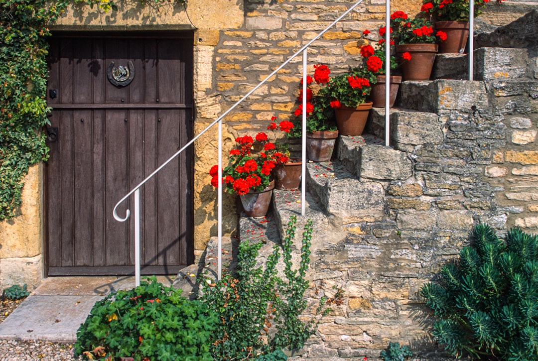 Cottage photo spot Bath Forde Abbey