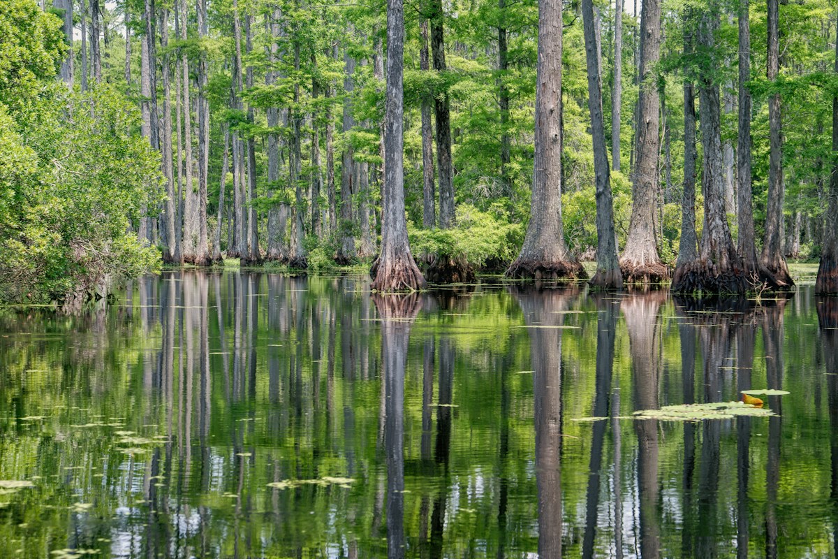 photo by James Morden (@jim74tg) on unsplash