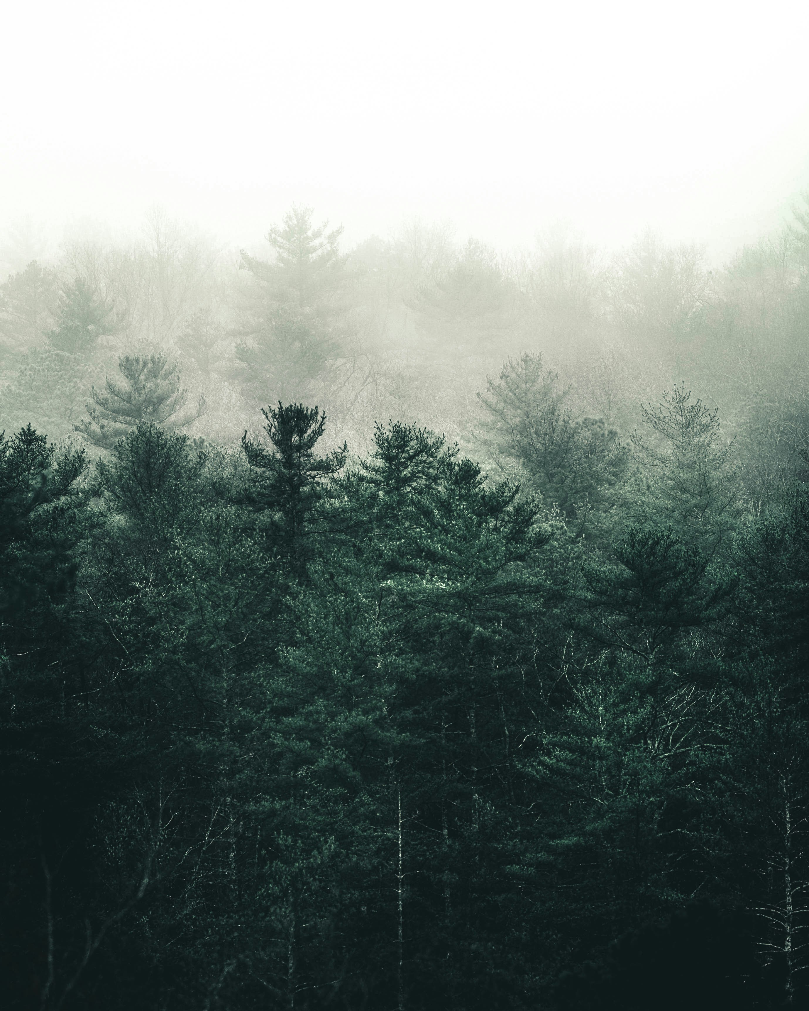 Photo by lureofadventure