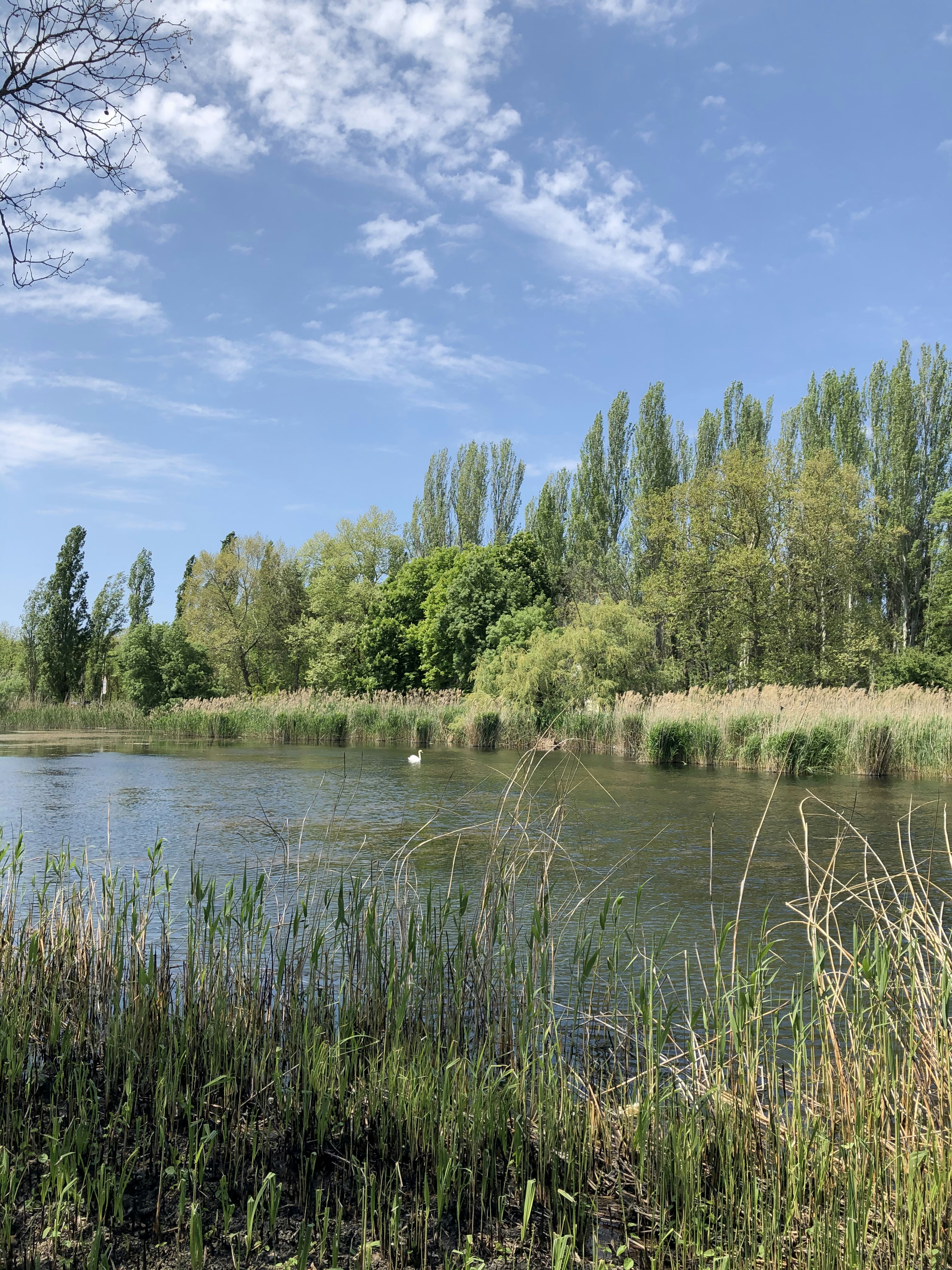 Photo by vertinskaya