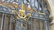 An intricately designed wrought iron gate with golden decorative elements and floral motifs is positioned in front of a window. The metalwork features elegant swirls and ornamental details, blending classic and decorative styles.