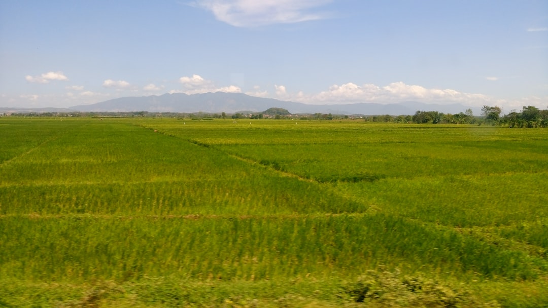 Plain photo spot Central Java Salatiga