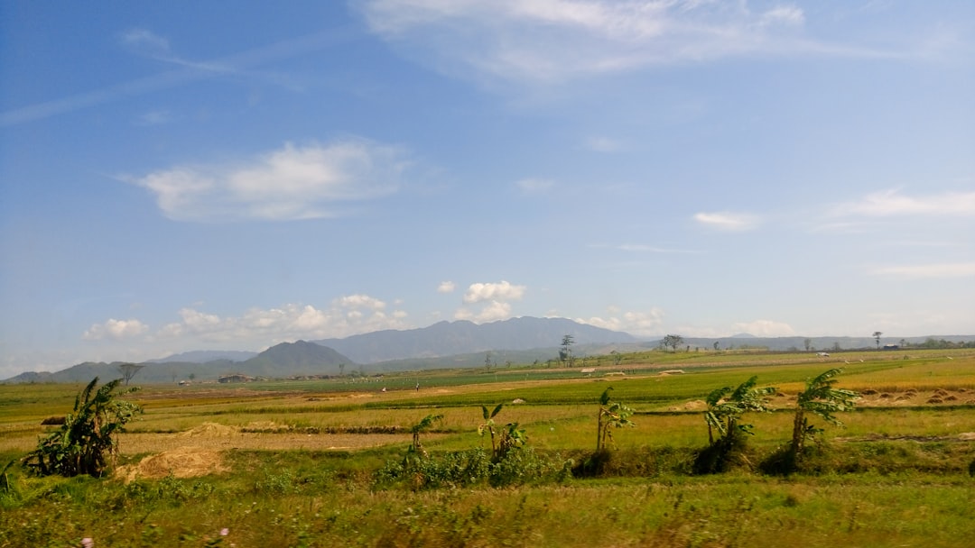 Plain photo spot Margasari Indonesia