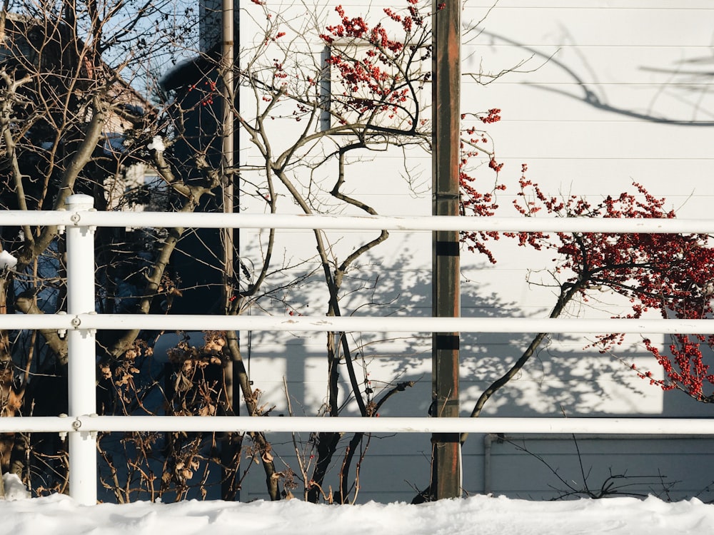 brown wooden framed glass window