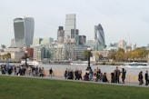 people on green grass field near city buildings during daytime