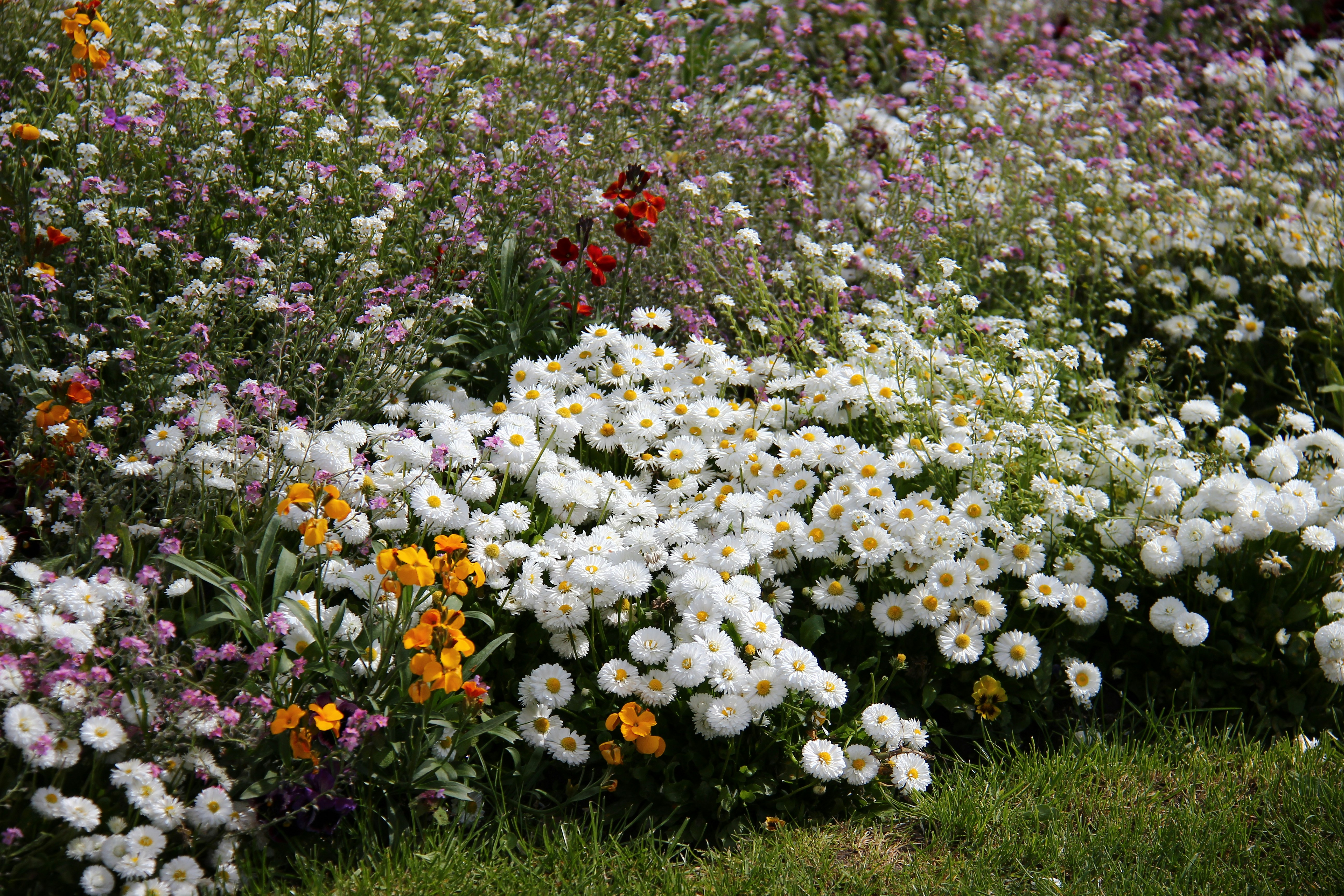 Photo by shalevcohen