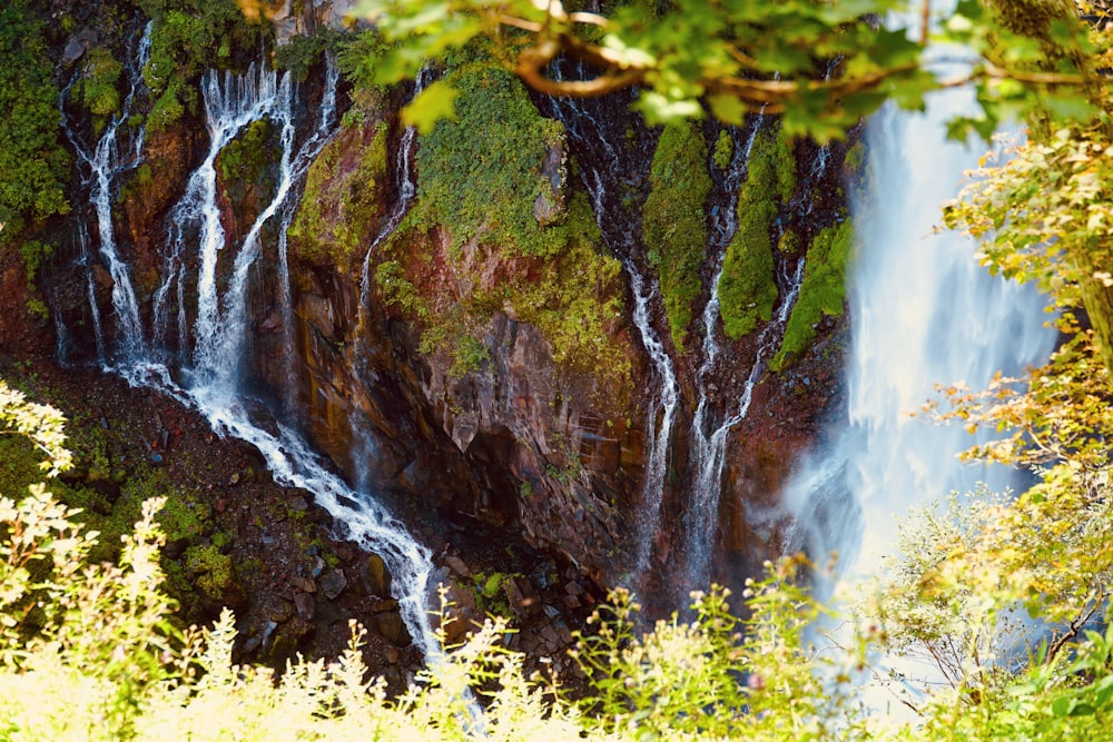 L’eau tombe dans la forêt